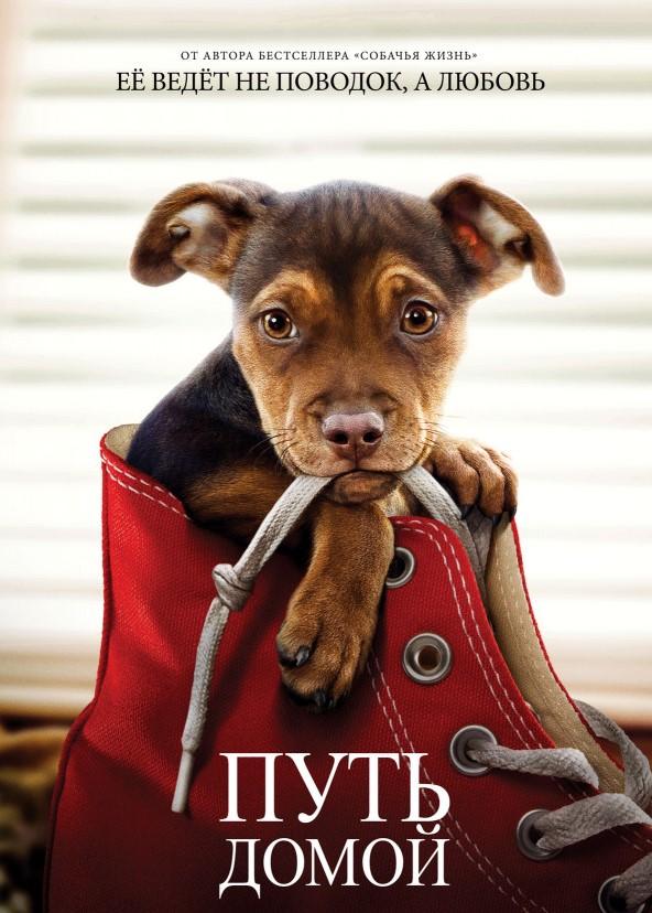 Смотреть Путь домой
